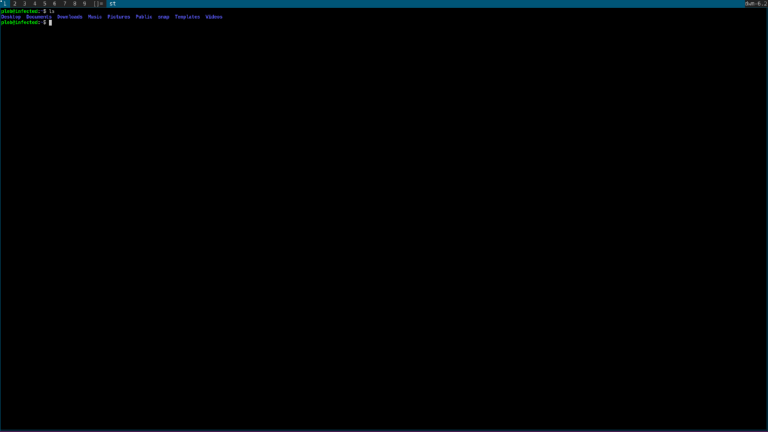 DWM running on Ubuntu 20.10 LTS